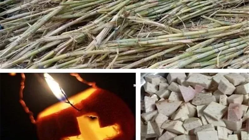 لماذا يأكل الاقباط القلقاس والقصب في عيد الغطاس؟