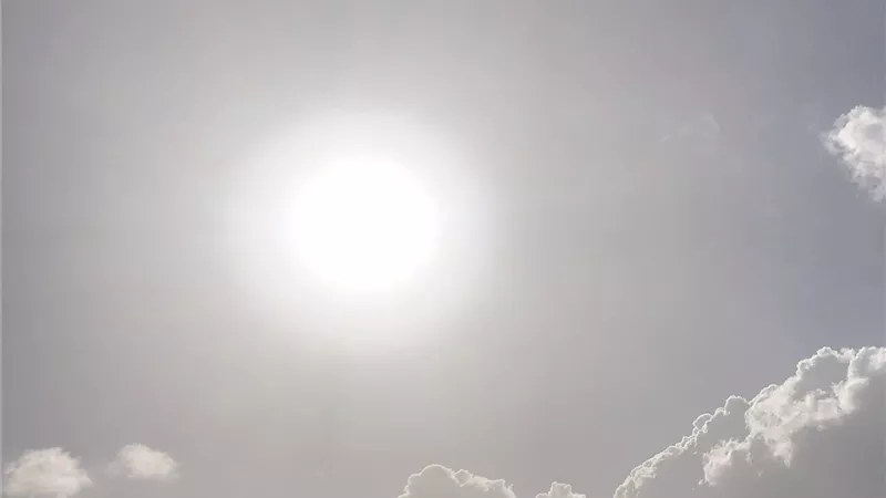 بداية دفئ.. ارتفاع طفيف في درجة الحرارة بالشرقية ليلا ونهارا