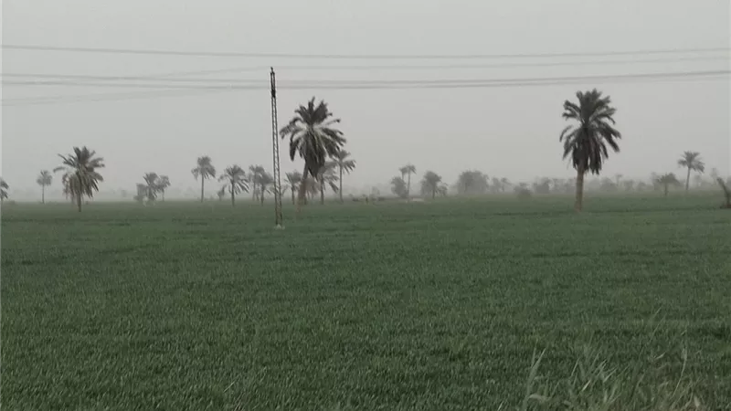 غيوم وانخفاض الحرارة يسيطرا على الأجواء اليوم في محافظة الفيوم