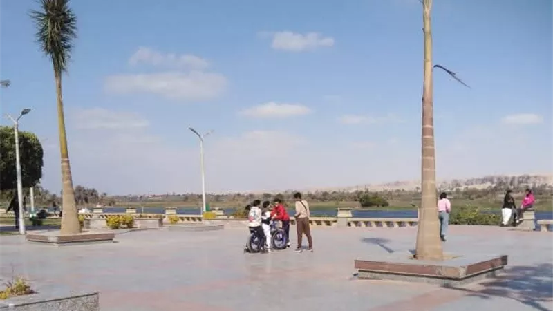 تجميل وتشجير كورنيش النيل بالمنيا بالنخيل الملكي والمساحات الخضراء