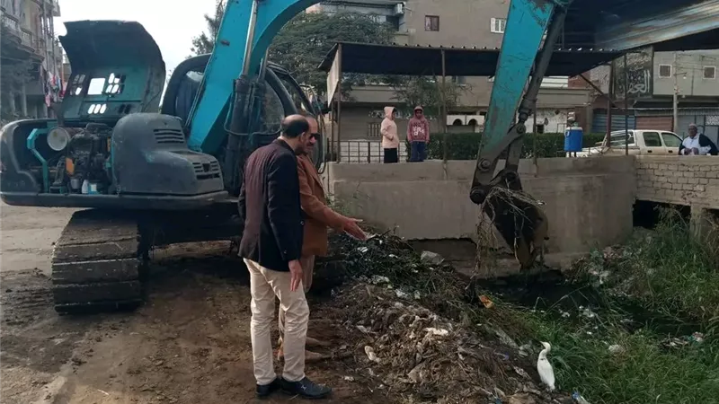 محافظ الدقهلية ينفذ حملة نظافة مكبرة بقرية دميرة ويرفع 340 طن مخلفات 