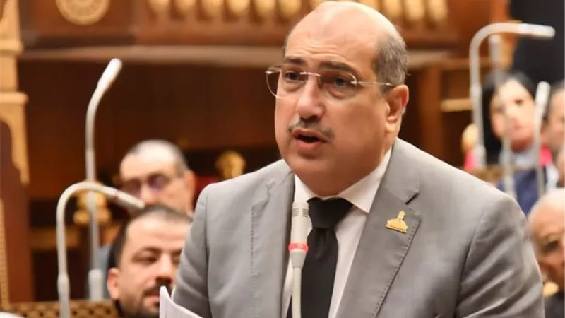 النائب إيهاب وهبة يطالب بمواجهة ورد النيل للحفاظ على المياه