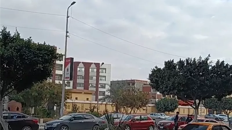 استقرار الأحوال الجوية في محافظة الإسماعيلية|فيديو 