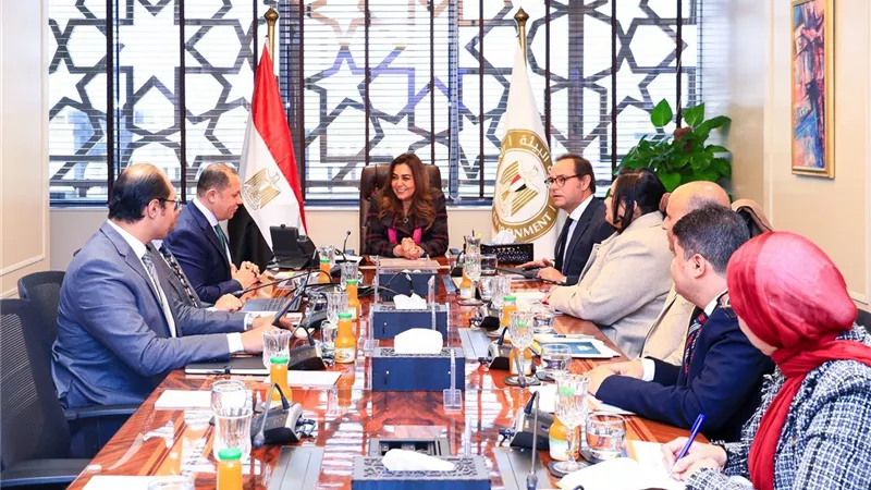 منال عوض: مصر تنجح في خفض نفوق الطيور المهاجرة لأقل من النسب الدولية