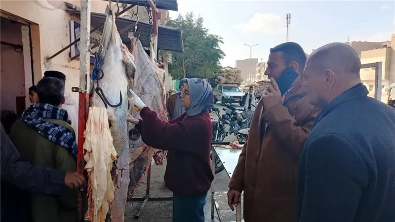 الطب البيطري يشن حملات حاسمة لحماية سلامة الغذاء ببني سويف
