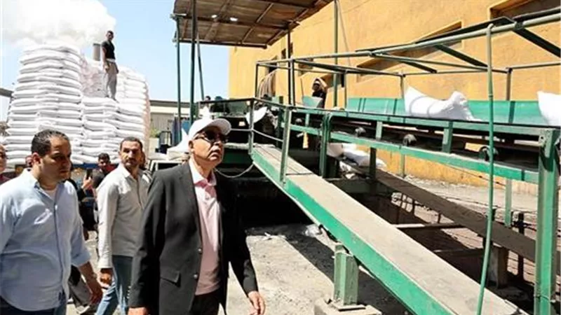 مصانع أبو قرقاص بالمنيا تعلن آخر موعد لاستلام قصب السكر للموسم الحالي