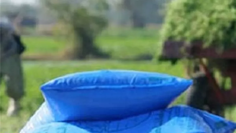وزارة الزراعة تعلن توزيع الأسمدة إلكترونيا على الفلاحين