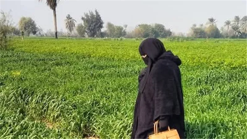 محافظ بني سويف يشدد على المتابعة الميدانية لحماية المنظومة الزراعية