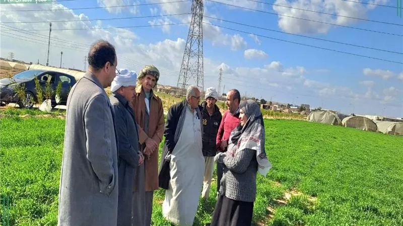 زراعة الشرقية تواصل دعم «القمح وتنمية الثروة الحيوانية» استعدادا للموسم