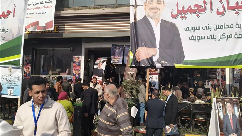 إقبال كثيف من المحامين على لجان التصويت في مختلف مراكز بني سويف
