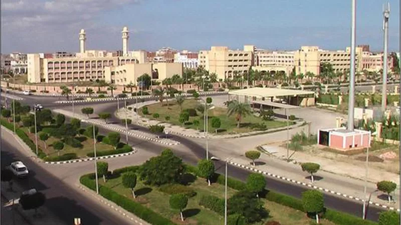 جامعة دمياط تعلن عن وظيفة أستاذ مساعد حاسبات وذكاء اصطناعي شاغرة
