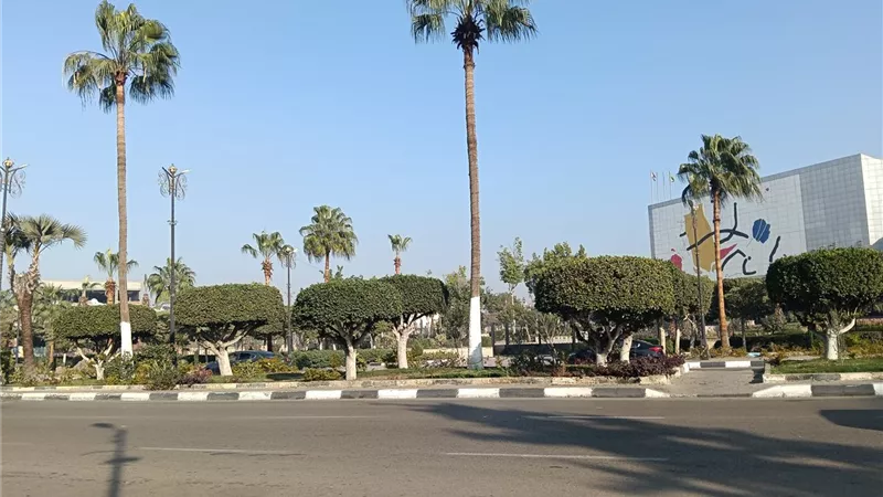 طقس اليوم بالإسماعيلية.. اعتدال في درجات الحرارة نهارًا وبرودة ليلًا