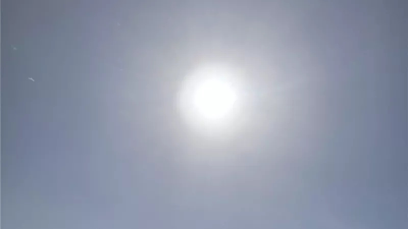 طقس الشرقية اليوم.. مشمس نهارًا مائل للبرودة ليلًا 