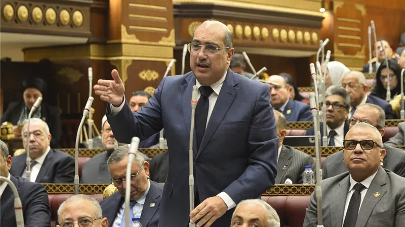 النائب إيهاب وهبة يطالب الحكومة بالاستفادة من «ورد النيل» في صناعة السماد 