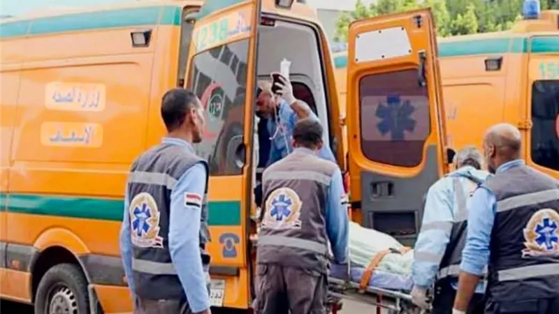 مشاجرة جيران تنتهي بجريمة قتل في محلة البرج بالمحلة الكبرى