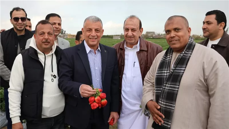 «الذهب الأحمر».. محافظ الإسماعيلية يتفقد أحد مزارع الفراولة|فيديو