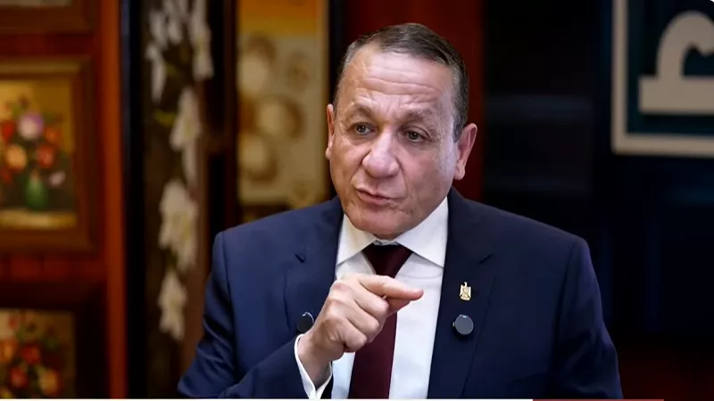 أيمن عبد المحسن: مصر ترفض التهديدات وتدعو للحلول السياسية|فيديو