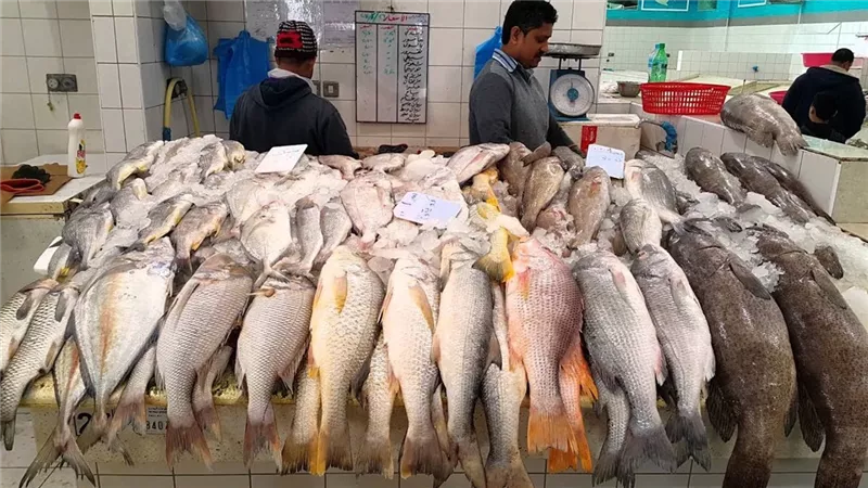 استقرار أسعار الأسماك في مصر اليوم.. البلطي يسجل 115 جنيهًا