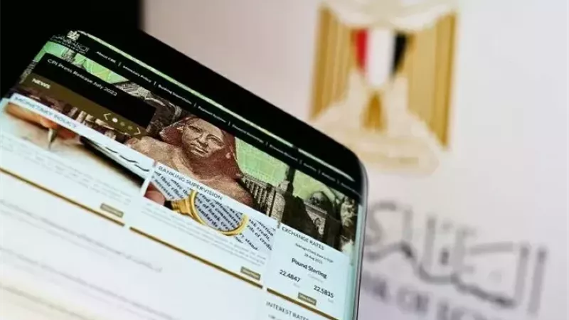 البنك المركزي: 77.4% من المصريين ضمن الشمول المالي والنساء يتفوقن بـ71.3%