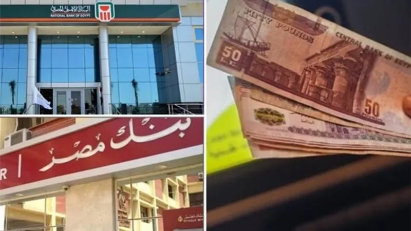 أفضل شهادات الادخار 2026.. عائد مرتفع وأمان مالي مضمون