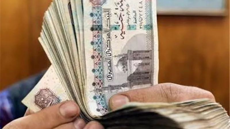 هل فوائد البنك حلال أم حرام؟.. أمين فتوى يوضح 