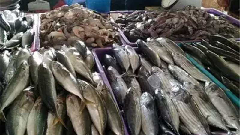 البلطي بـ 50 جنيهاً.. أسعار الأسماك بسوق العبور