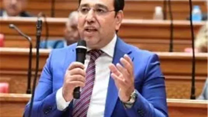 النائب أيمن محسب: الموقف السعودي في حرب أكتوبر يجسد وحدة المصير بين القاهرة والرياض