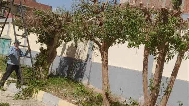 قوافل إرشادية ودعم للمزارعين ضمن خطة التنمية بمركز بني سويف