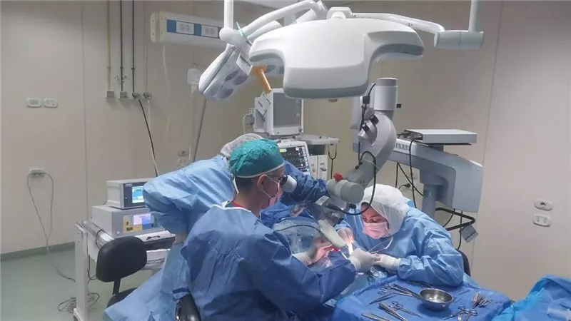 حكم زراعة كُليَة خنزير في جسم الإنسان.. الأزهر للفتوى يحسم الجدل