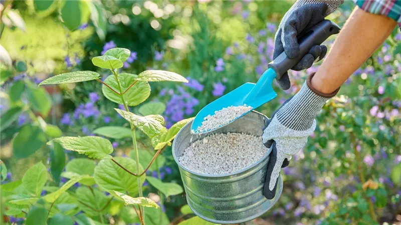 بعد أزمة الصيف.. نقيب الفلاحين يزف بشرى للمزارعين بشأن الأسمدة الشتوية|خاص