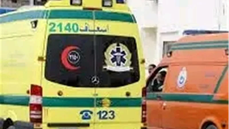 شجار أمام مدرسة ثانوية بالسنبلاوين ينتهي بإصابة طالب ونقله للمستشفى