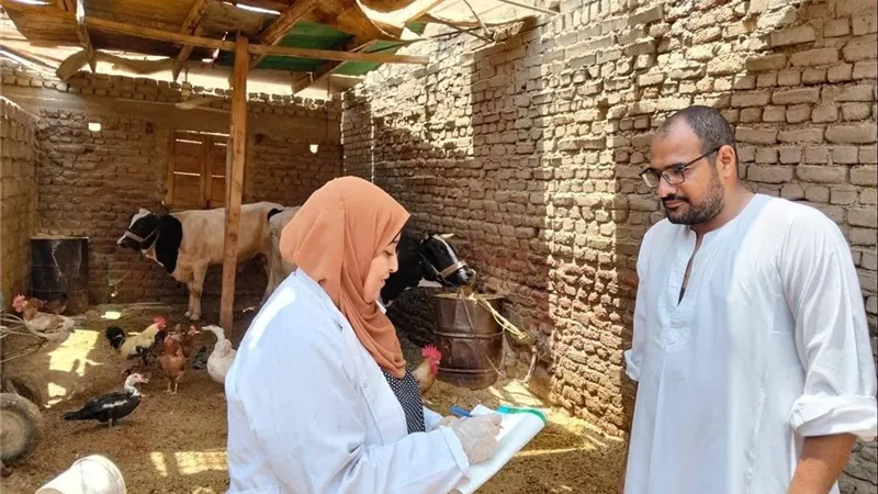 الزراعة تكثف الرصد الميداني.. 8 آلاف زيارة بيطرية في شهر واحد