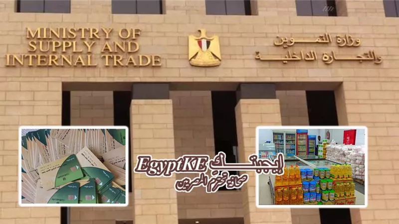 خطوات تحديث بطاقات التموين 2025 وإضافة المواليد عبر المنصة الرقمية.. رابط مباشر وشروط التسجيل