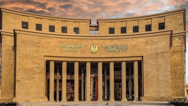 33.54 مليار جنيه مساهمات البنك المركزي في رؤوس أموال مؤسسات تمويل دولية 