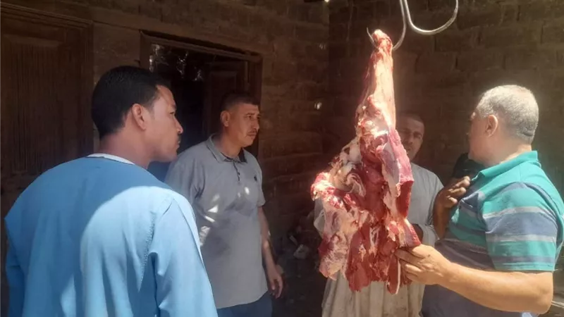 تموين المنيا: ضبط 308 مخالفة خلال حملات موسعة على المخابز والأسواق