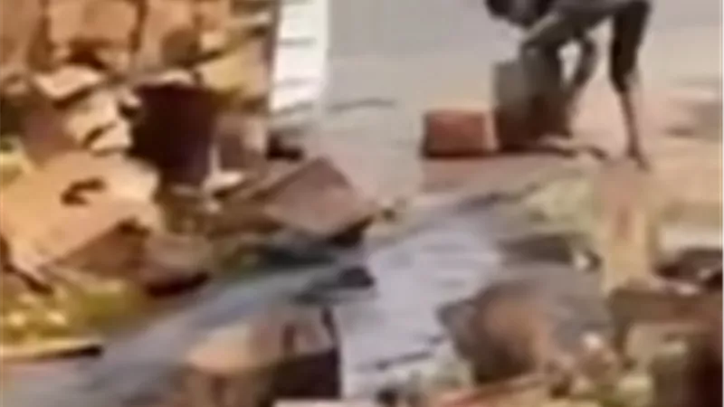 انقلاب سيارة نقل محملة بأطنان من زيت التموين بطريق «المحلة – المنصورة»