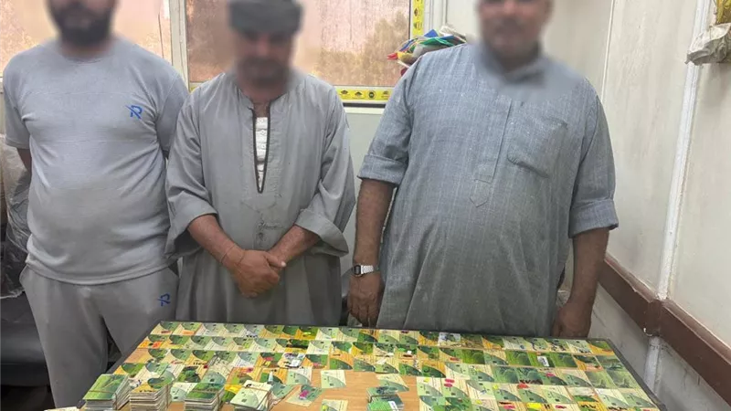 ضبط 909 بطاقة تموين بحوزة أصحاب مخابز للاستيلاء على الدعم  