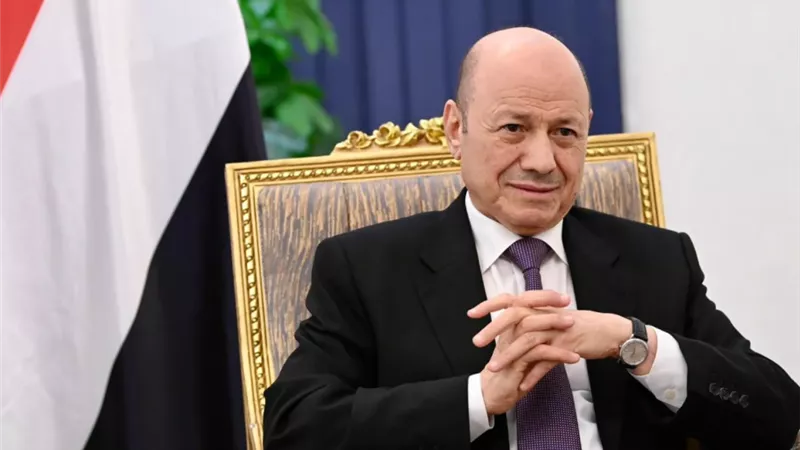 «العليمي» أمام الأمم المتحدة: اليمن أمام اختبار صعب.. ويجب تحريره من الحوثيين