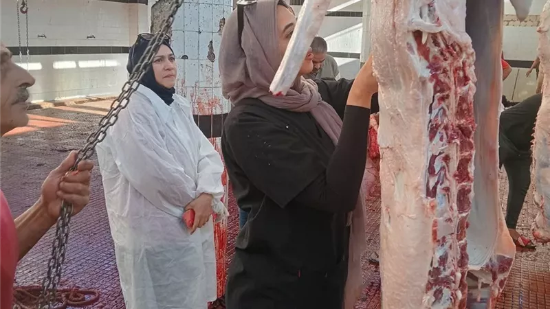 طب بيطري دمياط تفقد مجازر كفر البطيخ وفارسكور وكفر سعد للتأكد من سلامة اللحوم