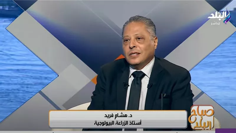 زراعة اللحوم ما بين التجارب والطرح فى الأسواق..متخصص يكشف|فيديو