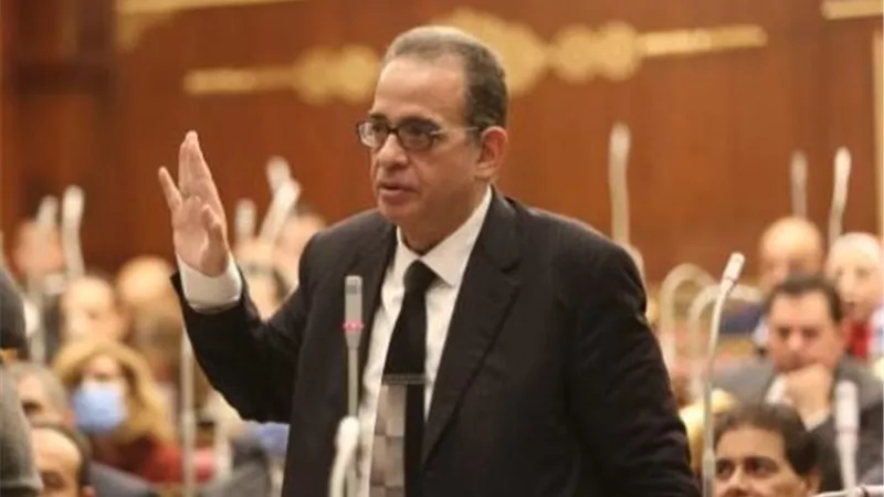 رئيس برلمانية الوفد: 