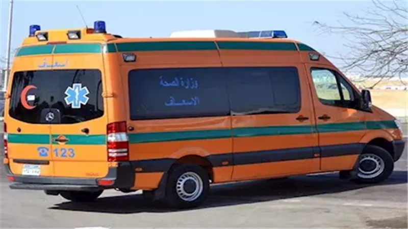 لقمة العيش.. تفاصيل إصابة 8 عمال في انقلاب سيارة على صحراوي الفيوم 