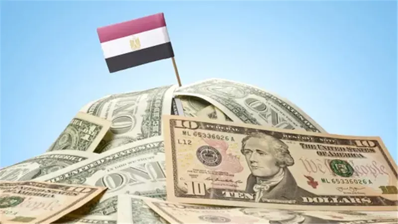 عوائد أذون وسندات الخزانة تتراجع إلى 25.7% في الربع الرابع من 2025|خاص