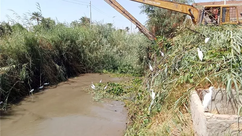 محافظ أسيوط: استمرار حملات تطهير الترع والمصارف لضمان وصول المياه إلى المزارعين