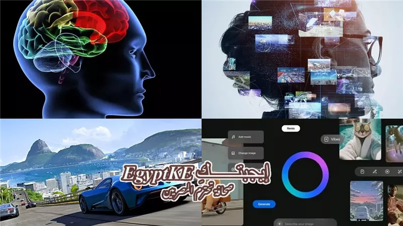 نشرة علوم وتكنولوجيا «إيجبتك».. سر اختيار الدماغ للذكريات ودماغ السحلية يكشف أصول الوعي وابتكار 