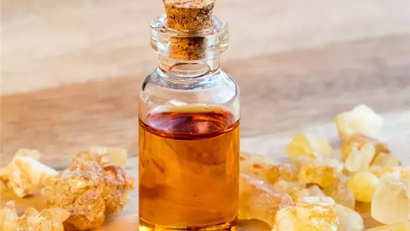 لبان الدكر.. كنز طبيعي لتعزيز المناعة والبشرة والطاقة والحيوية