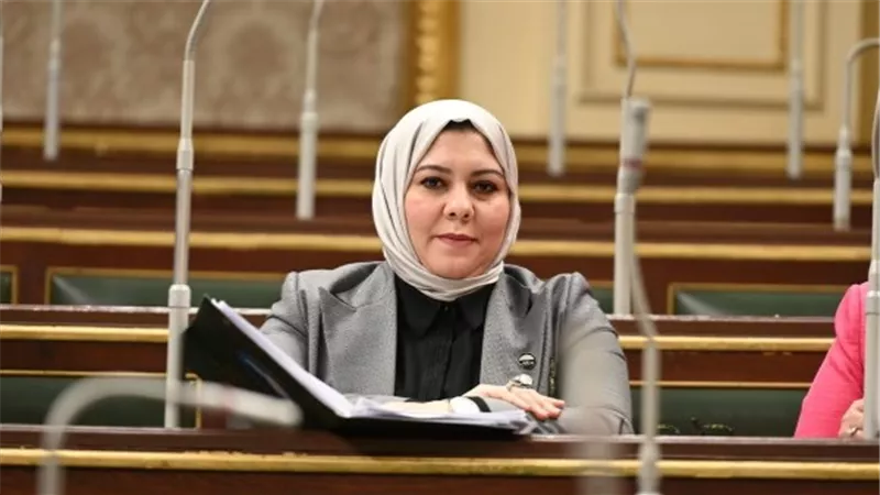 برلمانية: مصر تواصل دعمها للفلسطينيين وترفض تصفية قضيتهم العادلة