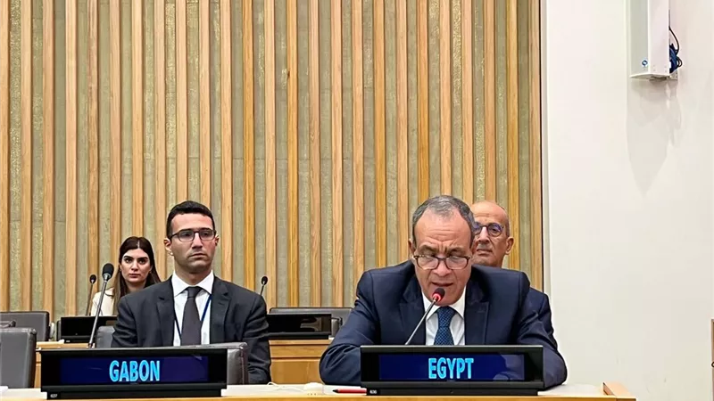 مصر  تطالب بالوقف الفوري لإطلاق النار في غزة وتجدد رفضها لتهجير الفلسطينيين