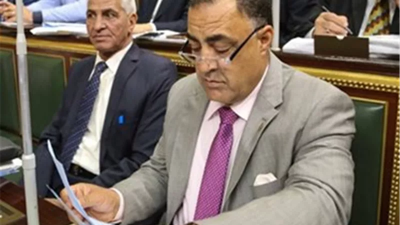 خاص| إلهامي عجينة بعد الانتماء لـ«حماة وطن»: أفهم سياسة وتصريحاتي المثيرة ستكون «محسوبة»