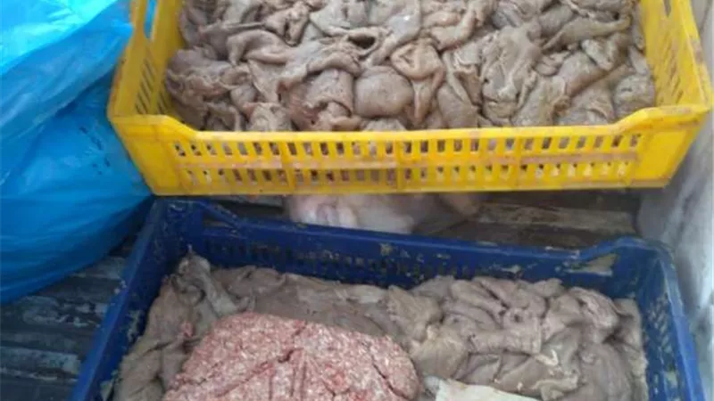 جهود مديريات الزراعة والطب البيطري في أسبوع